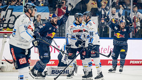 Spieler des EHC Red Bull M&uuml;nchen jubeln nach einem Treffer gegen den ERC Ingolstadt &ndash; die aufgeheizte Viertelfinal-Serie steuert in der Saturn Arena auf ihren Gift-Gipfel zu.
