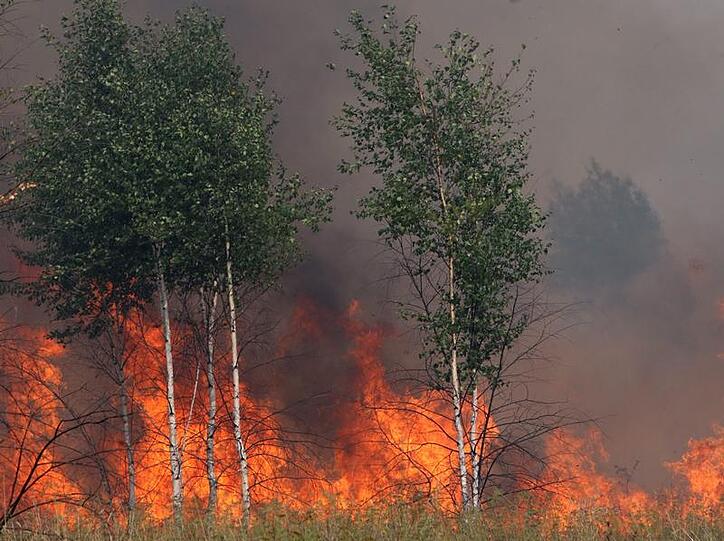 Greenpeace warnt davor, dass die Brände in Teilen Russlands radioaktiv verseuchte Partikel aufwirbeln könnten.