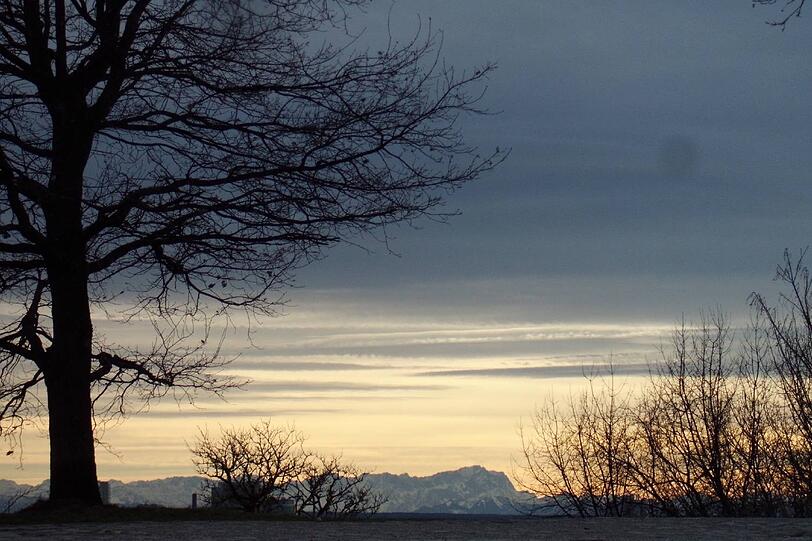 Impressionen aus dem Luitpoldpark.