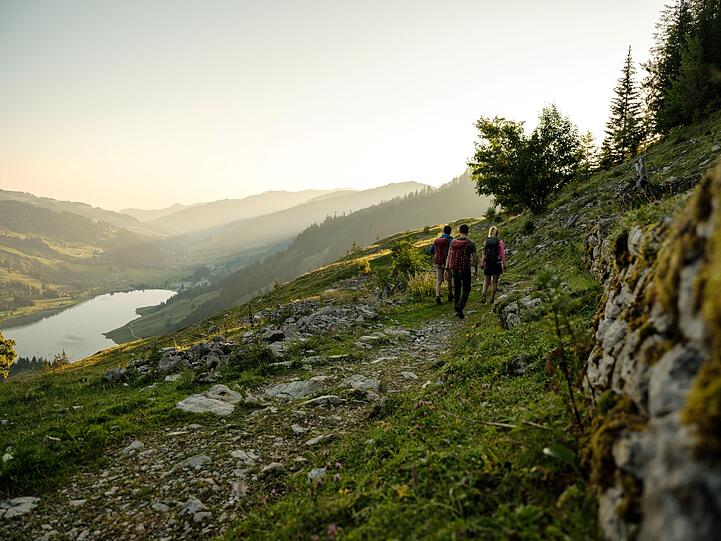 Das Naturschutzgebiet Breccaschlund fasziniert Wanderer vor allem mit seiner vielfältigen Tier- und Pflanzenwelt und einem wunderbaren Blick auf den Schwarzsee.