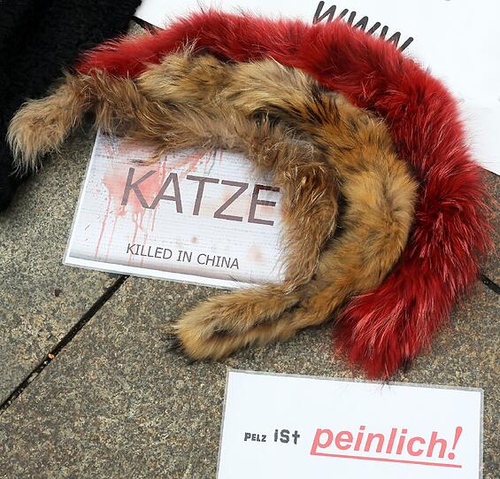 Katzen, verarbeitet.