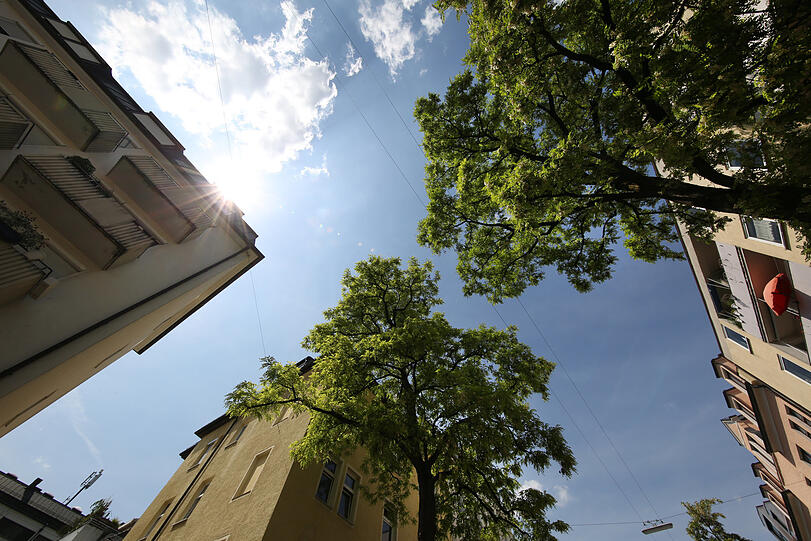 Die Hitze steht: Hochsommer in der Kurfürstenstraße.