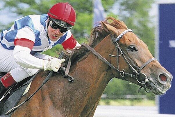 Startet am Sonntag beim Bayerischen Fliegerpreis in Riem: Shinko's Best mit Jockey Marc Timpelan. Foto: Frank Nolting
