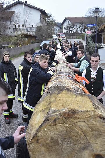 Die Triumph-Parade: Ein Bulldog samt Maibaum, zwei Feuerwehrfahrzeuge und über 30 Beteiligte marschieren am Freitag Abend in Buch ein.