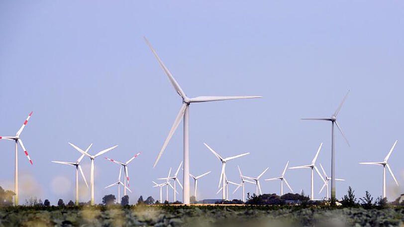 Windräder drehen sich bei Friedrichskoog (Schleswig-Holstein).