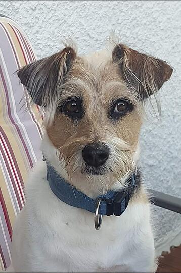 Felix