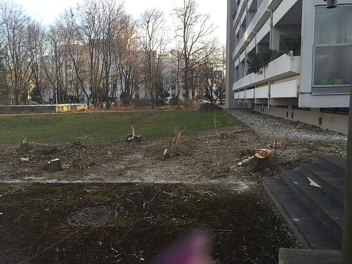 Etwa dreißig Bäume wurden zugunsten einer Tiefgarage gefällt.