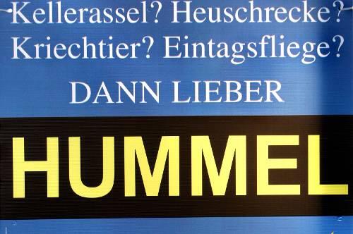 Ausschnitt aus dem Wahlplakat von BP-Politiker Thomas Hummel