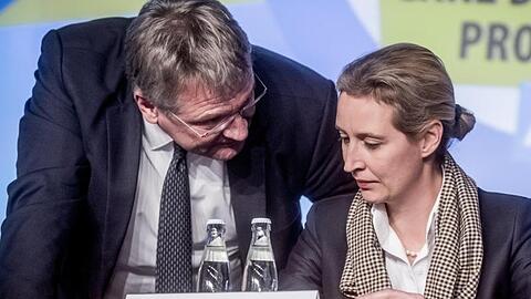 Bislang genießt sie Rückendeckung: Jörg Meuthen, Co-Bundessprecher der AfD, spricht mit Fraktionschefin Alice Weidel.