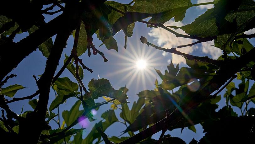 Über Temperaturen um die 30 Grad kann sich vor allem der Süden in den kommenden Tagen freuen. (Archivbild)