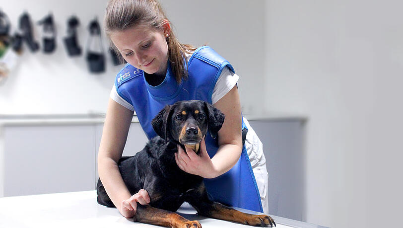 Notdienst vor dem Kollaps: Tierklinik Ismaning schlägt Alarm