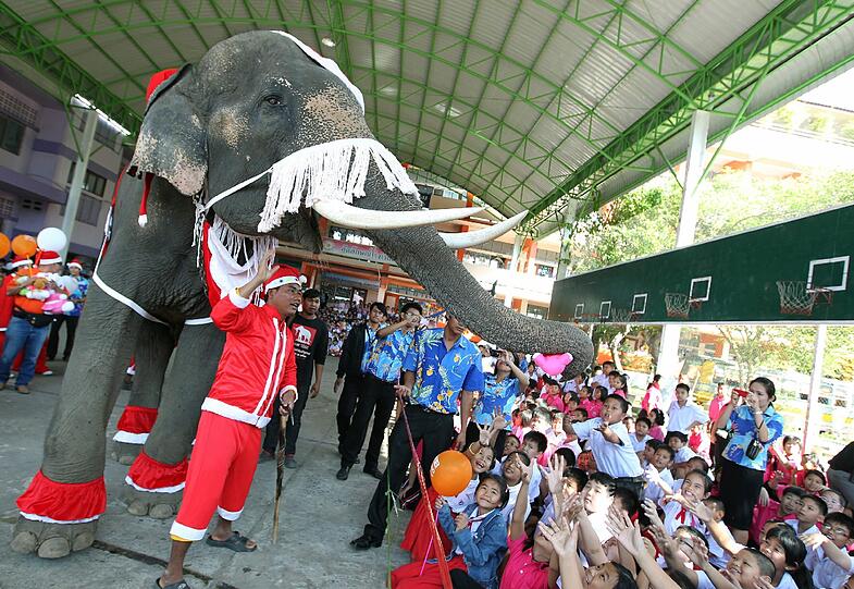 Na klar, ein Elephant als Nikolaus! Wo's das gibt? In Thailand.