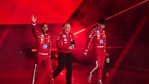 Lewis Hamilton wird sich auch gegen seinen Teamkollegen erstmal durchsetzen müssen.
