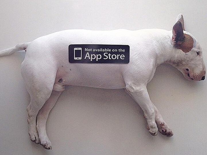 Für einen User ist sein Hund nicht durch eine App zu ersetzen