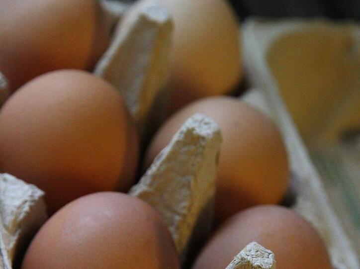 Die Preise für Eier sind wegen des Lebensmittelskandals gesunken.