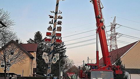 Mit dem Kran wurde der Maibaum sachte umgelegt.