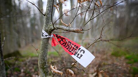 Reste einer Polizeiabsperrung sind in dem betroffenen Waldst&uuml;ck zu sehen.