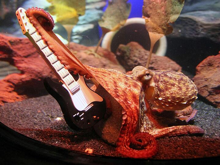 Ausstellung: Jetzt rocken die Kraken - Panorama - Abendzeitung München