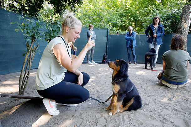 In der Hundeschule lernen Mensch und Tier gemeinsam – klare Signale, Ruhe und Vertrauen sind die Basis für sicheres Verhalten in jeder Situation. In der Hundeschule lernen Mensch und Tier gemeinsam – klare Signale, Ruhe und Vertrauen sind die Basis für sicheres Verhalten in jeder Situation.