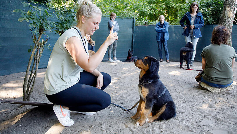 In der Hundeschule lernen Mensch und Tier gemeinsam – klare Signale, Ruhe und Vertrauen sind die Basis für sicheres Verhalten in jeder Situation. In der Hundeschule lernen Mensch und Tier gemeinsam – klare Signale, Ruhe und Vertrauen sind die Basis für sicheres Verhalten in jeder Situation.