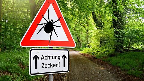 Zecken treiben sich nicht nur in Wäldern und auf Wiesen herum – sondern überall, wo es Pflanzen gibt.