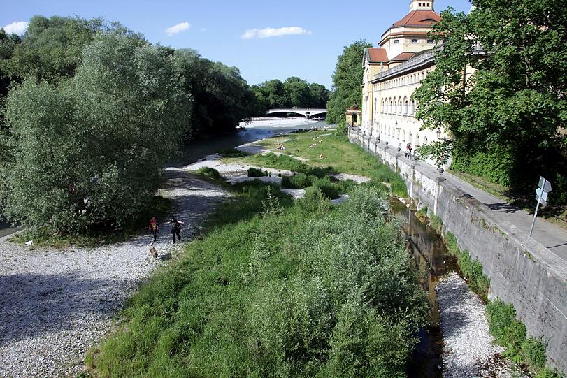 2011 haben die Isarauen ein besonders hübsches grünes Flair. Vom Fluss ist fast nichts zu sehen.