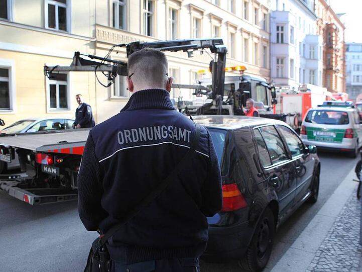 Warum sind PetzSeiten im so beliebt? Abendzeitung München