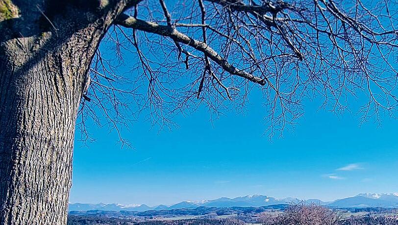 Vom Weyarner Lindl aus hat man die Alpen im Blick. Vom Weyarner Lindl aus hat man die Alpen im Blick.