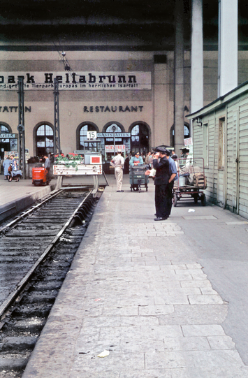 1954: Die Bahnsteighalle mit den alten Rundbogenfenstern des Bürkleinbaus &ndash; und Geranien (!) auf dem Prellbock.