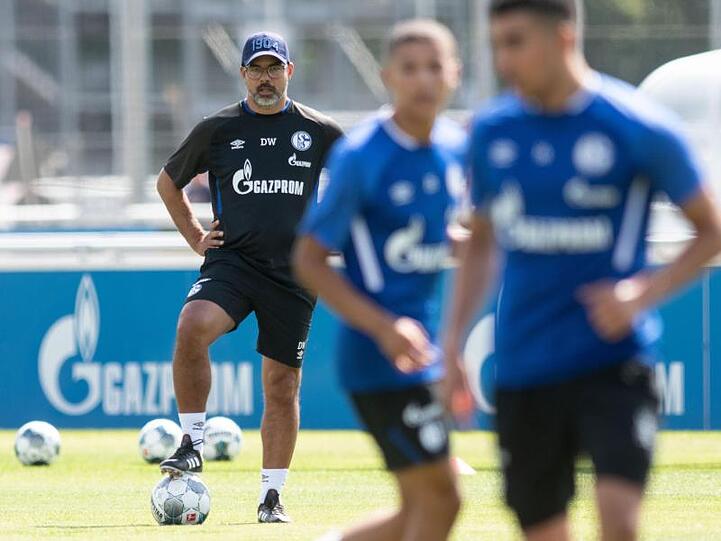 Der neue Schalke-Trainer David Wagner leitete sein erstes Training in Gelsenkirchen.