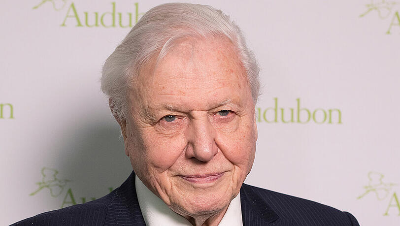 Sir David Attenborough meldet sich bei Instagram an - und bricht sogleich einen Rekord. Sir David Attenborough meldet sich bei Instagram an - und bricht sogleich einen Rekord.