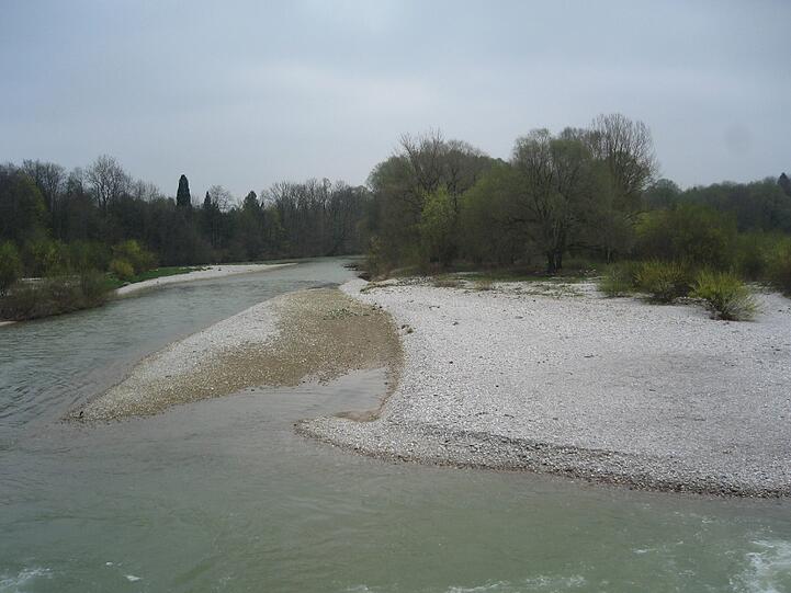 Die wilde Seite der Isar