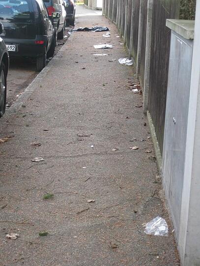 Kein schöner Anblick: Die überfüllten Müllcontainer in Neuaubing.