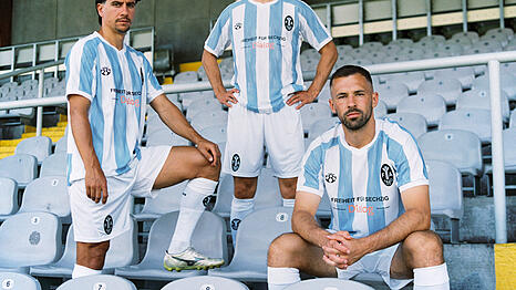 Mit den hellblau-wei&szlig;en Streifen erinnert das neue Heimtrikot der L&ouml;wen ein bisschen an die argentinische Nationalmannschaft.