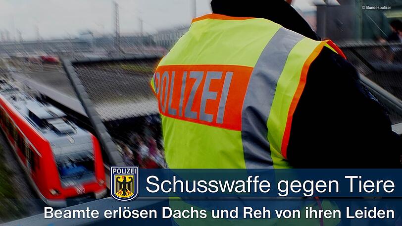 Die Bundespolizei musste in dieser Woche schon zweimal zur Dienstwaffe greifen.