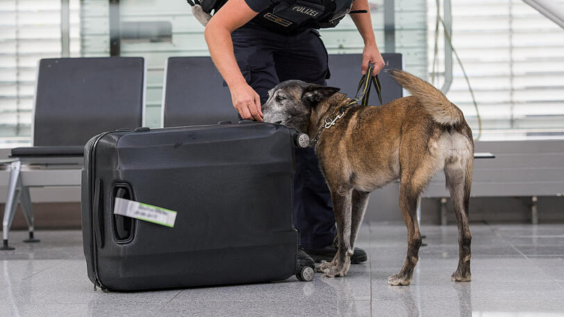Immer wieder muss die Bundespolizei am Flughafen wegen herrenloser Gepäckstücke ausrücken. Diesmal führte der Koffer jedoch zu einem eher unüblichen Einsatz. (Symbolbild)