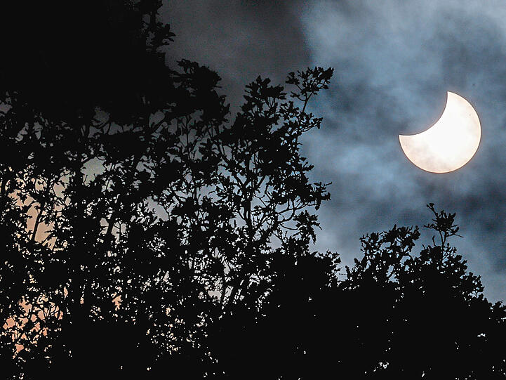 Oktober 2022: Der Mond schiebt sich bei einer partiellen Sonnenfinsternis über dem Hamburger Stadtpark vor die Sonne.