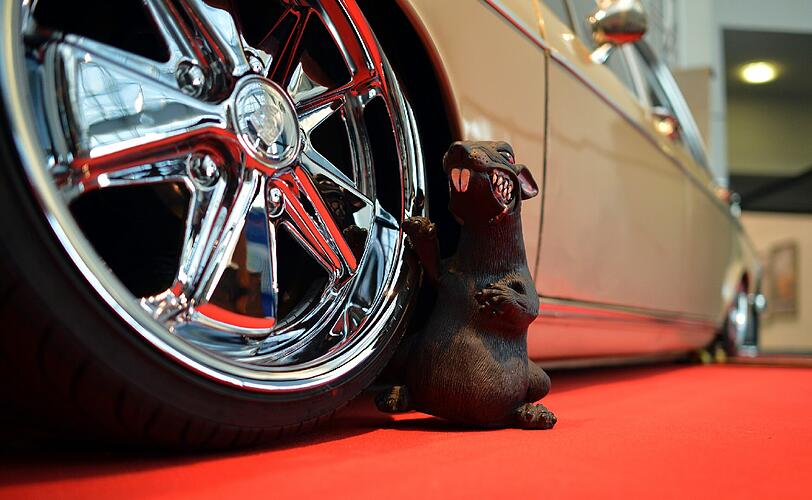 Rosanna Davison auf der Tuning Messe - die Bilder