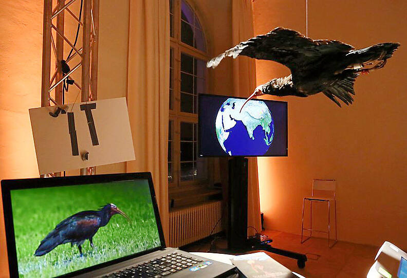 Ein Vogelflug-Simulator in einer Biotopia-Präsentation.