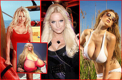 Silikon als Karriere Sprungbrett: Gina Lisa, Pam Anderson und Co. profitieren von ihrer Oberweite. Die AZ zeigt die berühmtesten Busenwunder und neue Sternchen am Erotik-Himmel - in Bildern
