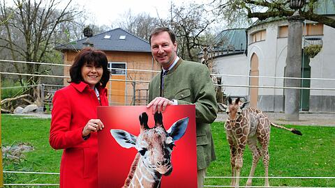 Marlies Mirbeth, Vorstandsmitglied der Stadtsparkasse München und Zoodirektor Andreas Knieriem, daneben der Giraffen-Nachwuchs Naledi.
