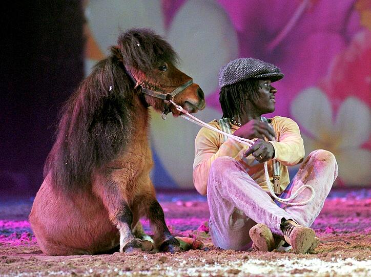 Die Show "Apassionata" verknüpft internationale Reitkunst mit Ballett und Musik.
