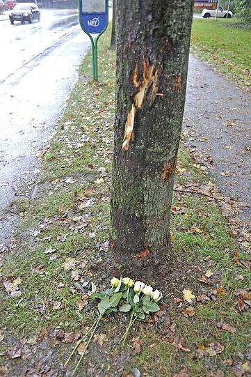 An diesem Baum stirb Bünyamin K.; trauernde Freunde haben Rosen für den 18-Jährigen niedergelegt.