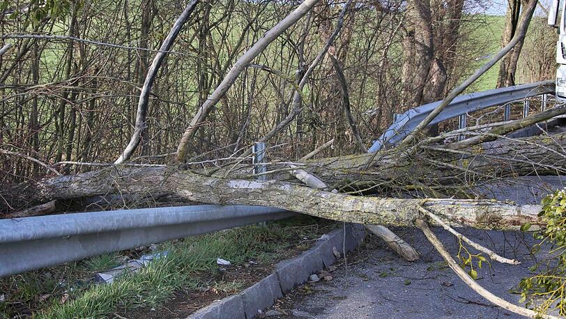 Umgestürzte Bäume  auf der B12 am Fuße des Friesenhamer Berges behindern den Straßenverkehr.
