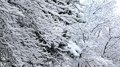 In h&ouml;heren Lagen soll es noch einmal Neuschnee geben. (Archivbild)