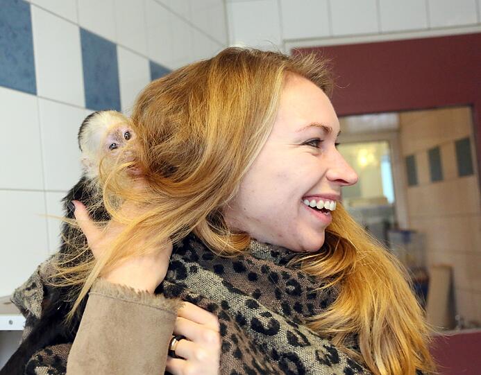 So süß: Der Affe "Mally" von Justin Bieber wartet im Tierheim