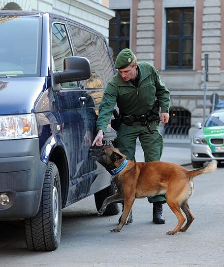 Auch hier muss der Hund ran!