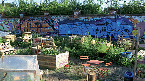 Zwischennutzung am Gleis: Urban Gardening.