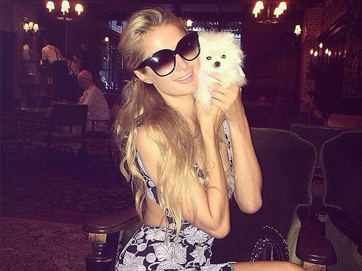 Paris Hilton präsentiert ihren neuen Welpen