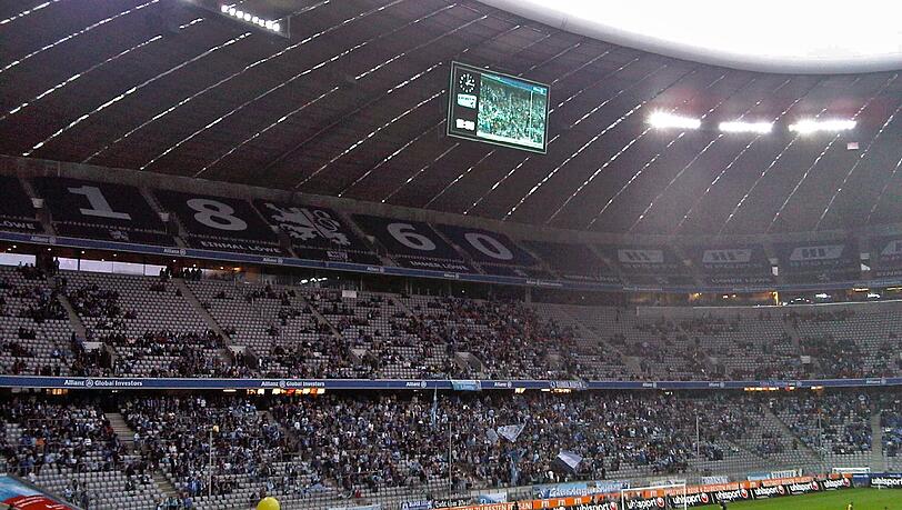 Die Löwen decken den Oberrang der Allianz Arena zu Die Löwen decken den Oberrang der Allianz Arena zu
